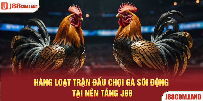 Đá gà J88 cực hot